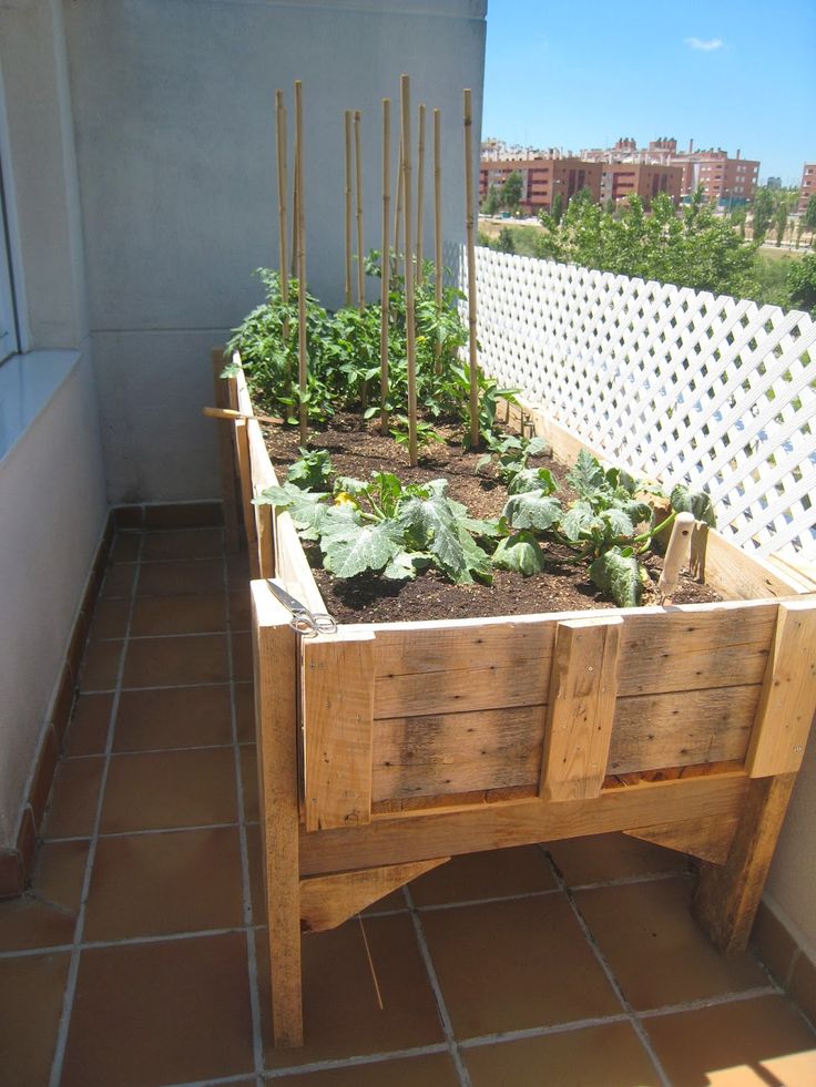 potager terrasse palette